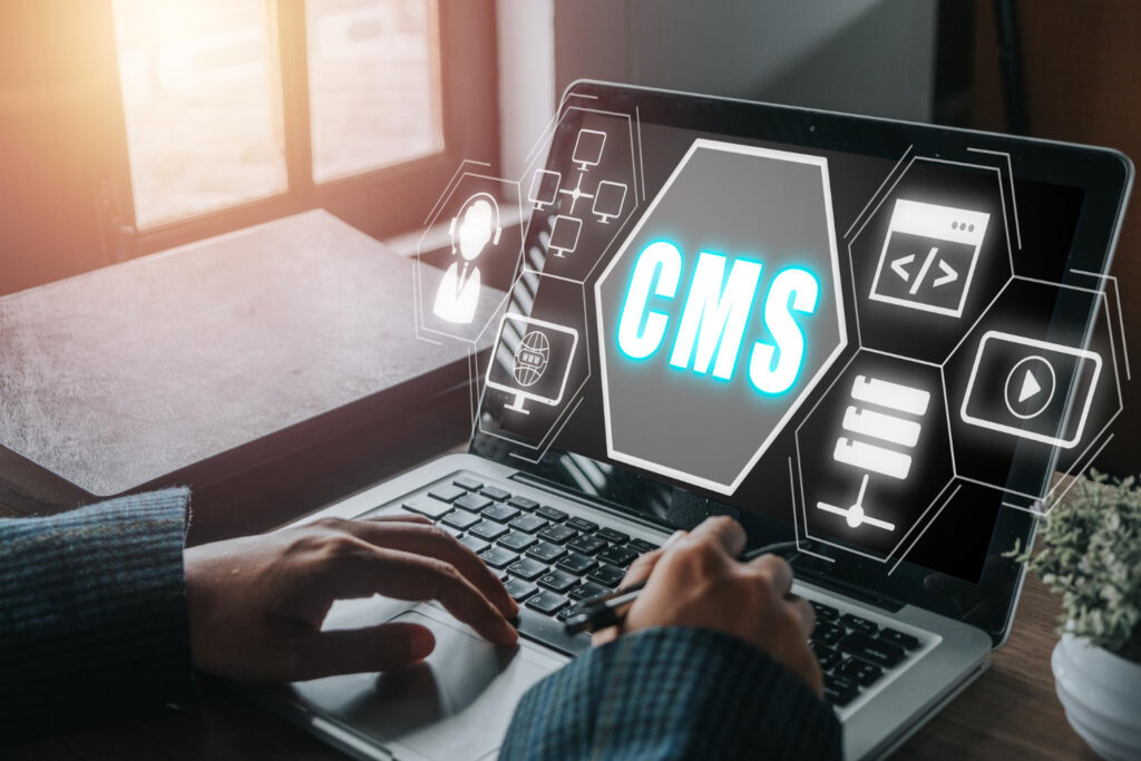 CMS & Platform-Based Development